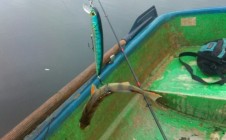 Фото рыбалки в Якшур-Бодьинский район 9