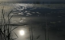 Фото рыбалки в Йошкар-Ола 5