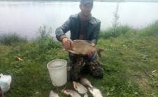 Фото рыбалки в Войкова 1