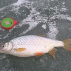 Фото рыбалки в Броницьке озеро 1