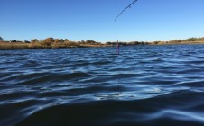 Фото рыбалки в Кочемары 7