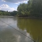 Фото рыбалки в Жерех, Лещ, Щука 4