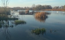 Фото рыбалки в Зеленоградский городской округ 10