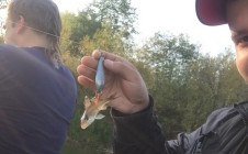 Фото рыбалки в Шустово 3