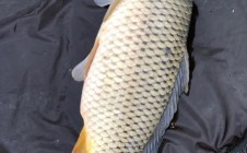 Фото рыбалки в Дивное озеро 8