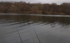 Фото рыбалки в СНТ Горняк, городской округ Елец 10