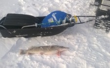 Фото рыбалки в городской округ Октябрьск 5