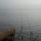 Фото рыбалки в Окунь 0