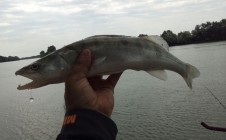 Фото рыбалки в Абинский район 0