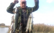 Фото рыбалки в Петровский район 7