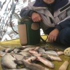 Фото рыбалки в Жерех, Лещ, Щука 6