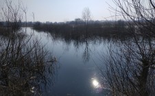 Фото рыбалки в Рогачёвский район 1
