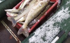 Фото рыбалки в Болотнинский район 3