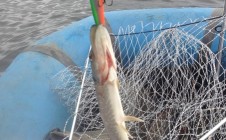 Фото рыбалки в Тростянка, Приволжский район 3