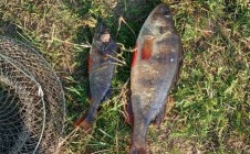 Фото рыбалки в Любковщина 9