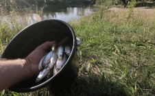 Фото рыбалки в Заводоуковский городской округ 10