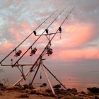 Фото рыбалки в Карась, Сазан 0