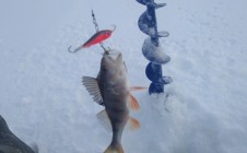 Фото рыбалки в Овсянникова 3