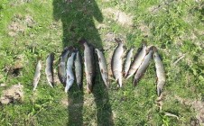 Фото рыбалки в Акжаикский район 4