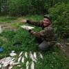Рыбалка Плотва, Язь