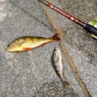 Фото рыбалки в Берш 4