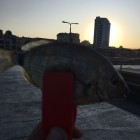 Фото рыбалки в Карась 2