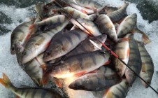 Фото рыбалки в Кандры-Кутуй 10