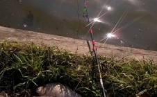 Фото рыбалки в Лида 8