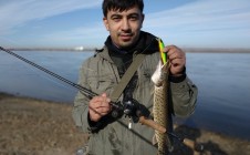 Фото рыбалки в Владимировка, Благовещенский район 5