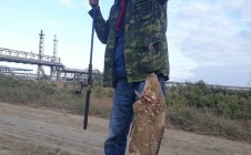 Фото рыбалки в Сокол, городской акимат Атырау 1