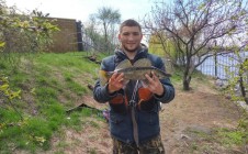 Фото рыбалки в Новоселовка, Новомосковский район 11