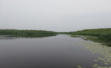 Фото рыбалки в Алексеевка, Чулымский район 1