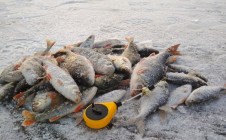 Фото рыбалки в Черниговская область 0