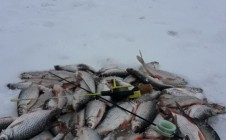 Фото рыбалки в Красный, Городищенский район 0