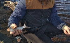 Фото рыбалки в Солнечное, городской округ Сургут 3