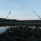 Фото рыбалки в Голавль 0