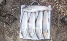 Фото рыбалки в Кабанск 1