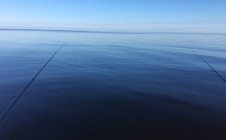 Фото рыбалки в Лигово 1