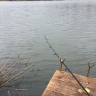 Фото рыбалки в Сом 0