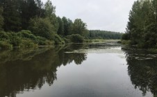 Фото рыбалки в Невьянский городской округ 5