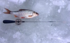Фото рыбалки в Одинцовский городской округ 9