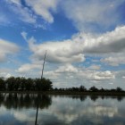 Фото рыбалки в Амур Белый, Окунь, Сазан, Сом, Судак 0