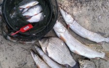 Фото рыбалки в Ярково 2