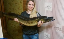 Фото рыбалки в Черкасский район 9