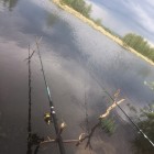 Фото рыбалки в Окунь, Щука 6