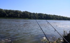 Фото рыбалки в Кулаковка 6