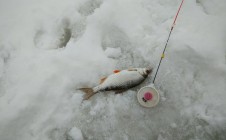 Фото рыбалки в Брянск, городской округ Брянск 5