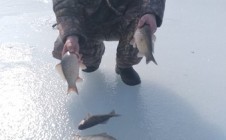 Фото рыбалки в Миусинск 5