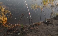 Фото рыбалки в Семилуки 1