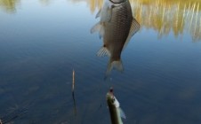 Фото рыбалки в Становлянский район 2